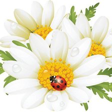 Cross stitch pattern: #557107