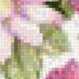 Preview of cross stitch pattern: #557111