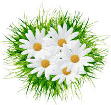 Cross stitch pattern: #557113