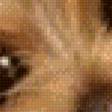 Preview of cross stitch pattern: #557128