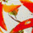 Preview of cross stitch pattern: #557227