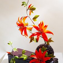 Cross stitch pattern: #557227