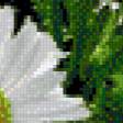 Preview of cross stitch pattern: #557232