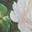 Preview of cross stitch pattern: #557277