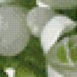 Preview of cross stitch pattern: #557459