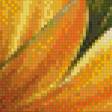 Preview of cross stitch pattern: #557778