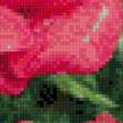 Preview of cross stitch pattern: #557918