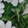 Preview of cross stitch pattern: #557919