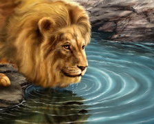 Cross stitch pattern: #557944
