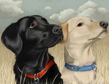 Cross stitch pattern: #557949