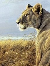 Cross stitch pattern: #557964