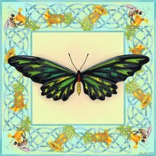 Cross stitch pattern: #557992