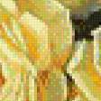 Preview of cross stitch pattern: #557998