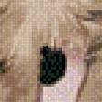 Preview of cross stitch pattern: #558013