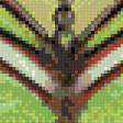Preview of cross stitch pattern: #558016