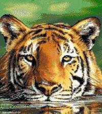 Cross stitch pattern: #558023