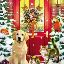 Cross stitch pattern: #558233