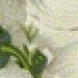 Preview of cross stitch pattern: #558546