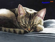 Cross stitch pattern: #558604