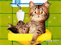 Cross stitch pattern: #558614