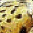 Preview of cross stitch pattern: #558616