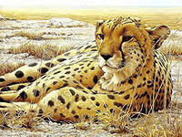 Cross stitch pattern: #558616
