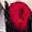 Preview of cross stitch pattern: #558617