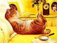 Cross stitch pattern: #558619