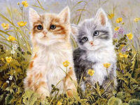 Cross stitch pattern: #558622