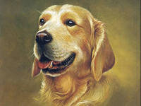 Cross stitch pattern: #558628