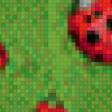 Preview of cross stitch pattern: #558636