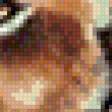 Preview of cross stitch pattern: #558681