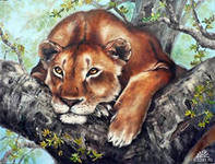 Cross stitch pattern: #558681