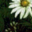 Preview of cross stitch pattern: #558863