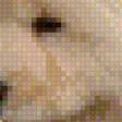 Preview of cross stitch pattern: #558884