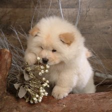 Cross stitch pattern: #558884