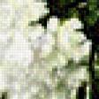 Preview of cross stitch pattern: #558886