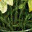 Preview of cross stitch pattern: #558909