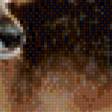 Preview of cross stitch pattern: #558933
