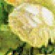 Preview of cross stitch pattern: #558954