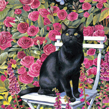 Cross stitch pattern: #558972