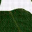 Preview of cross stitch pattern: #559523