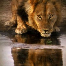 Cross stitch pattern: #559692