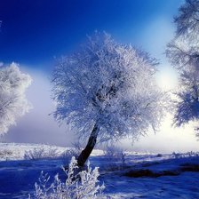 Cross stitch pattern: #559847