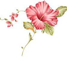 Cross stitch pattern: #559895