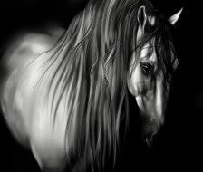 Cross stitch pattern: #559908
