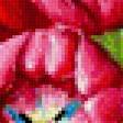 Preview of cross stitch pattern: #559916