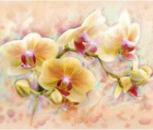 Cross stitch pattern: #559919