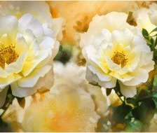 Cross stitch pattern: #559921