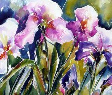 Cross stitch pattern: #559923